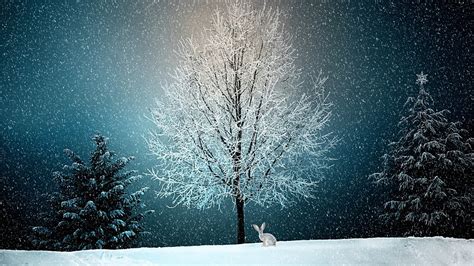 pixabay kostenlose bilder winter